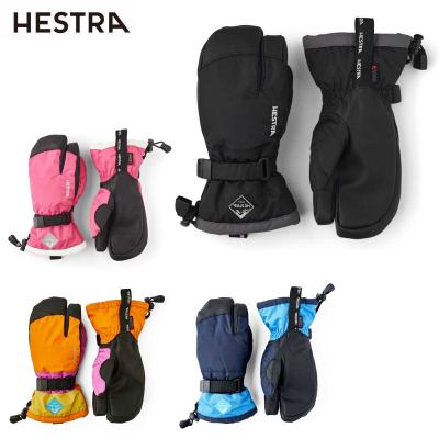 HESTRA ヘストラ グローブ スキー スノボー サイズ９ 楽天市場】HESTRA ヘストラ スキーグローブ メンズ レディース＜2025