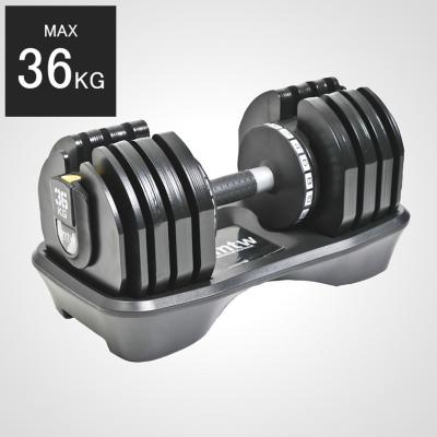 STEADY 可変式　ダンベル steady 可変式ダンベル15kg 定価26000