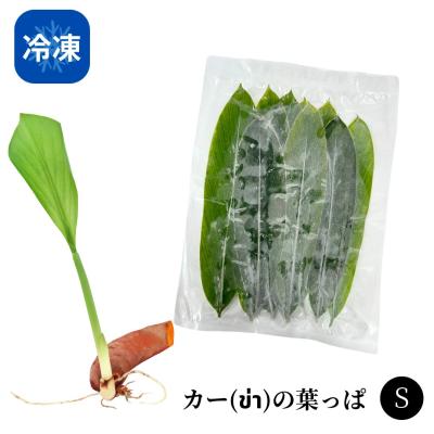 ガランガル カーのおすすめ人気商品一覧 通販 - Yahoo!ショッピング