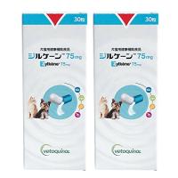 2個セットジルケーン 75mg | ボンニュイ ヤフー店