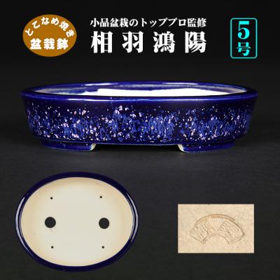 盆栽彩都ヤフー店 - 盆栽鉢｜Yahoo!ショッピング