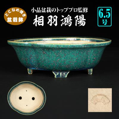 盆栽彩都ヤフー店 - 盆栽鉢｜Yahoo!ショッピング