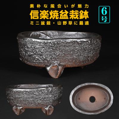 盆栽彩都ヤフー店 - 盆栽鉢｜Yahoo!ショッピング