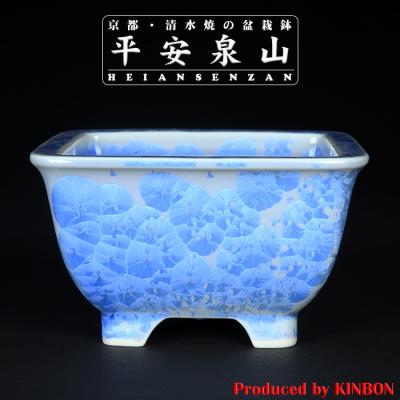 青花（鉢、プランター）｜庭、ガーデニング | DIY、工具 のおすすめ