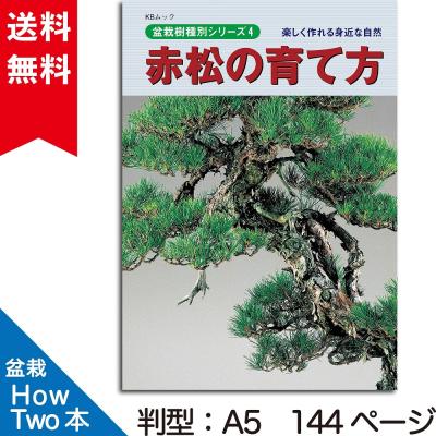 赤松盆栽文人のおすすめ人気商品一覧 通販 - Yahoo!ショッピング
