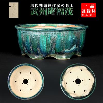 盆栽鉢 青 正方 落款有り Amazon | 【盆栽鉢】 時代鉢 古瀬戸 梅花紋