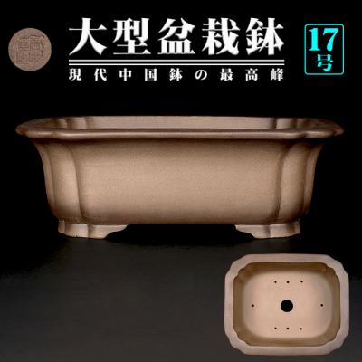 盆栽 鉢 落款の商品一覧 通販 - Yahoo!ショッピング 盆栽 鉢 落款の商品一覧 通販 - Yahoo!ショッピング