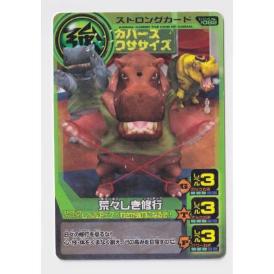 アニマルカイザー カードの商品一覧 通販 - Yahoo!ショッピング
