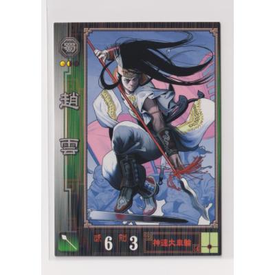 三国志大戦 カード 趙雲のおすすめ人気商品一覧 通販 - Yahoo!ショッピング