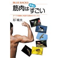 筋肉は本当にすごい すべての動物に共通する驚きのメカニズム/杉晴夫 | bookfanプレミアム