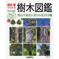 樹皮・葉でわかる樹木図鑑 野山や身近に見られる255種/菱山忠三郎 | bookfanプレミアム