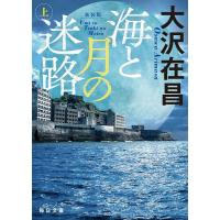 海と月の迷路 上/大沢在昌 | bookfanプレミアム