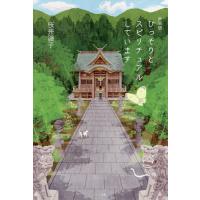 桜井トシフミのおすすめ人気商品一覧 通販 - Yahoo!ショッピング