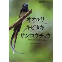 オオルリ・キビタキ・サンコウチョウ/BIRDER編集部 | bookfanプレミアム