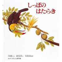 しっぱのはたらき&lt;大型本&gt;/川田健/薮内正幸/今泉吉典 | bookfanプレミアム