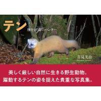 テン 種をまく森のハンター/吉見光治 | bookfanプレミアム
