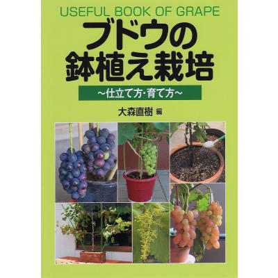 【中古】 炭/創森社/岸本定吉 中鉢 | ガラス鉢（KOK-383） 作家「岸本耕平」
