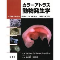 カラーアトラス動物発生学/PoulHyttel/FredSinowatz/MortenVejlsted | bookfanプレミアム