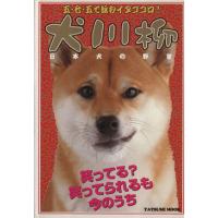 犬川柳　日本犬の野望／趣味・就職ガイド・資格 | ブックオフ1号館 ヤフーショッピング店