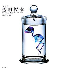 透明標本のおすすめ人気商品一覧 通販 - Yahoo!ショッピング