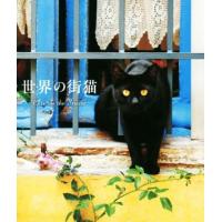 写真集　世界の街猫／パイインターナショナル | ブックオフ1号館 ヤフーショッピング店