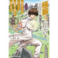 極振り拒否して手探りスタート！特化しないヒーラー、仲間と別れて旅に出る　１０ / 刻一 | 京都 大垣書店オンライン