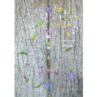 過去のすべては今の中にある　つれづ　３７ / 銀色　夏生 | 京都 大垣書店オンライン