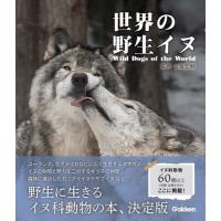 世界の野生イヌ / 今泉忠明 | 京都 大垣書店オンライン