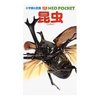 昆虫 / 小池啓一 | 京都 大垣書店オンライン
