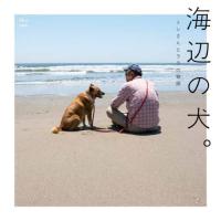 海辺の犬。 / トシ | 京都 大垣書店オンライン