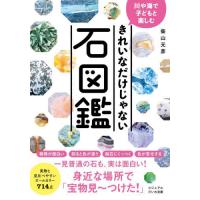 きれいなだけじゃない石図鑑　川や海で子どもと楽しむ / 柴山　元彦　著 | 京都 大垣書店オンライン