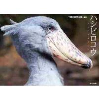 ハシビロコウ / 千葉市動物公園／編著 | 京都 大垣書店オンライン