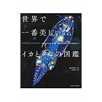 世界で一番美しいイカとタコの図鑑 / 窪寺　恒己　監修 | 京都 大垣書店オンライン