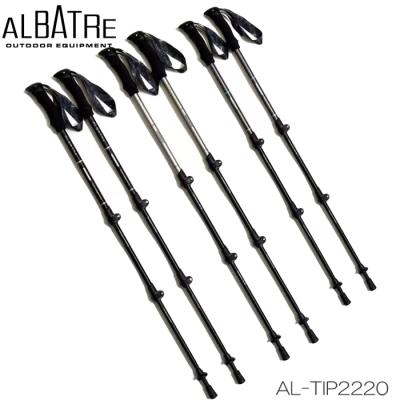  バックカントリー　伸縮ポール Black Diamond バックカントリー 伸縮ポール Black Diamond