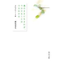 魂のままに生きれば、今日やることは今日わかる/銀色夏生 | bookfan