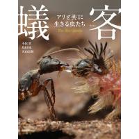 蟻客 アリと共に生きる虫たち/小松貴/島田拓/丸山宗利 | bookfan