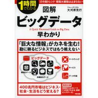 図解ビッグデータ早わかり 1時間でわかる/大河原克行 | bookfan