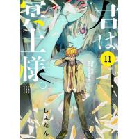 君は冥土様。 11/しょたん | bookfan