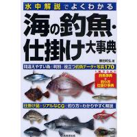 水中解説でよくわかる海の釣魚・仕掛け大事典/豊田和弘 | bookfan