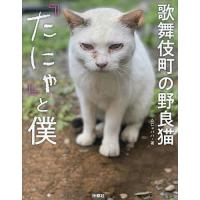 歌舞伎町の野良猫『たにゃ』と僕/たにゃパパ | bookfan