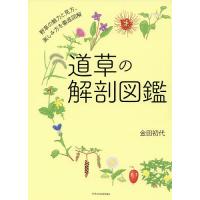 道草の解剖図鑑/金田初代 | bookfan