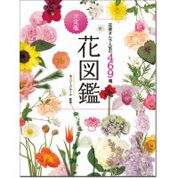 花図鑑 花屋さんで人気の469種/モンソーフルール | bookfan