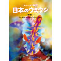 フィールド図鑑日本のウミウシ/中野理枝 | bookfan