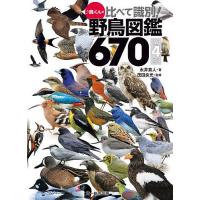 ♪鳥くんの比べて識別!野鳥図鑑670/永井真人/茂田良光 | bookfan