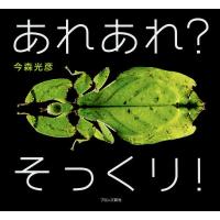 あれあれ?そっくり!/今森光彦/子供/絵本 | bookfan