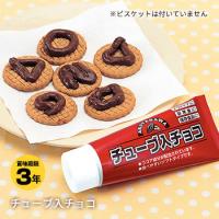 非常食 保存食 チューブ入りチョコ（チョコレート お菓子）賞味期限2022年11月7日迄 