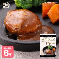 おいしい非常食 LLF食品 手作りデミソース煮込みハンバーグ100g（防災グッズ 6年保存 ロングライフフーズ 肉 美味しい） 