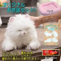あまえんぼう子ねこちゃん オリジナルお世話セット ベッド、くし、電池10回分、特別シールのお買得セット！ 4560386967848 | E・T・M Yahoo!店