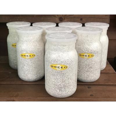 菌糸ボトルのおすすめ人気ランキングTOP100 - Yahoo!ショッピング