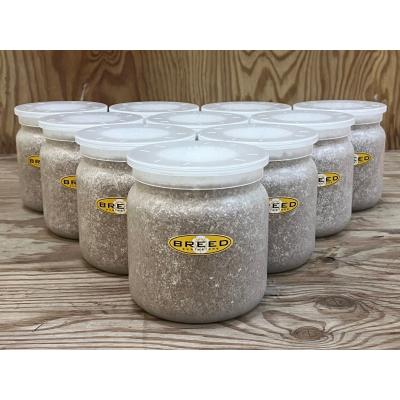 菌糸ビン販売（ペット用品、生き物）のおすすめ人気商品一覧 通販